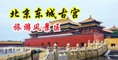橾操橾穴穴中国北京-东城古宫旅游风景区
